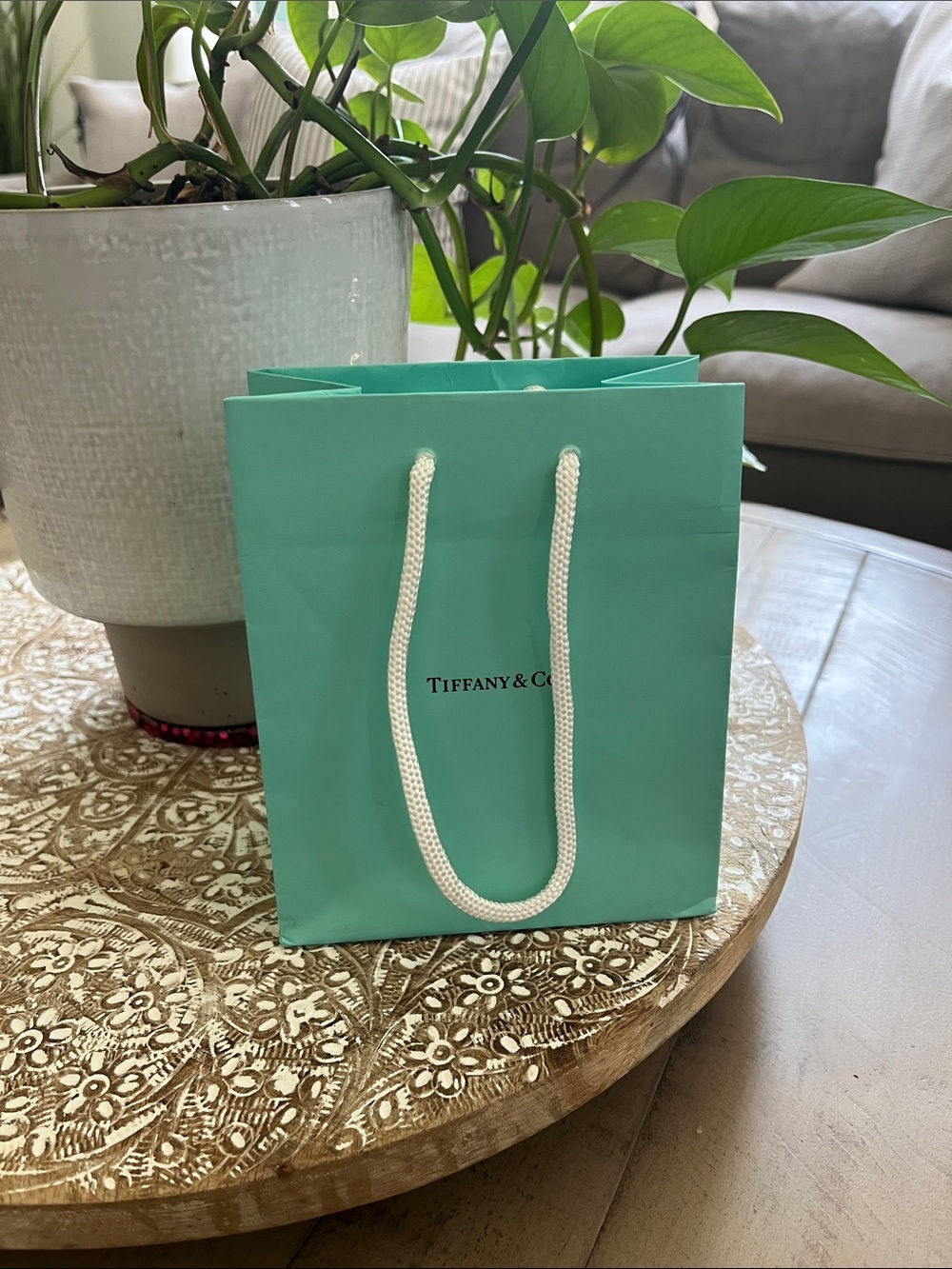 Tiffany & Co. Gift Bag Tote - Picture 2 of 9